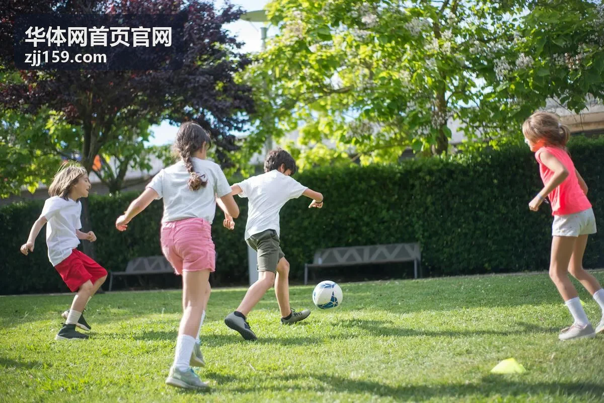 华体网高级会员专题内容封面